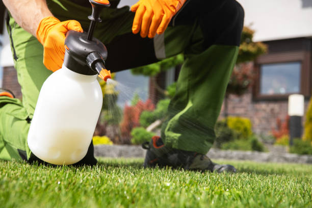 Best Best Pest Control Companies  in Severn, MD