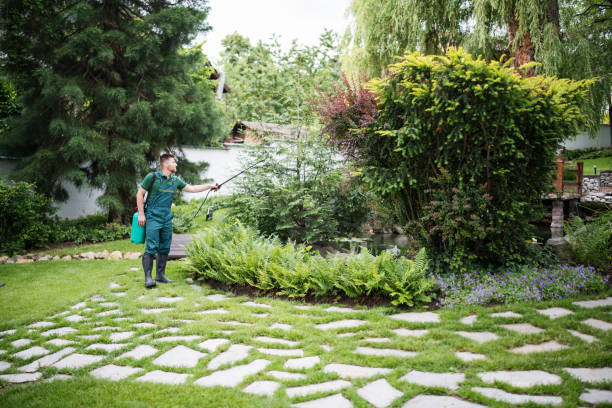 Best Pest Removal Services  in Severn, MD