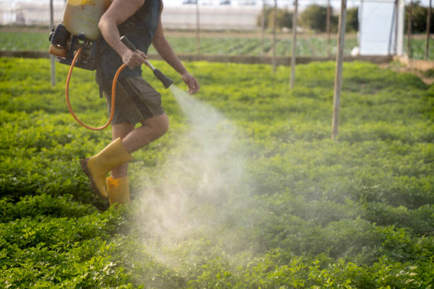 Best Pest Control for Restaurants  in Severn, MD