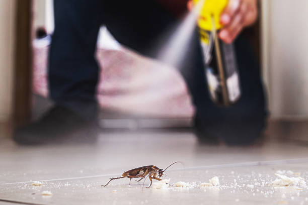 Best Bed Bug Extermination  in Severn, MD