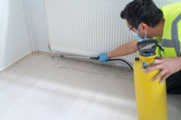 Best Pest Control for Businesses  in Severn, MD